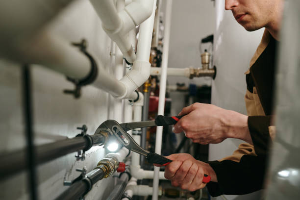 Best Plumbing Inspection Services  in Normal, IL
