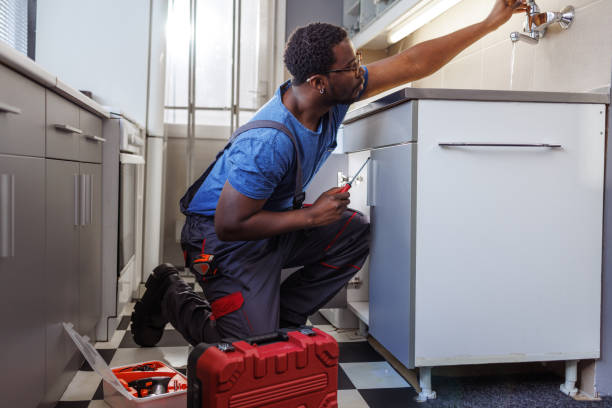 Best Toilet Repair Services  in Normal, IL