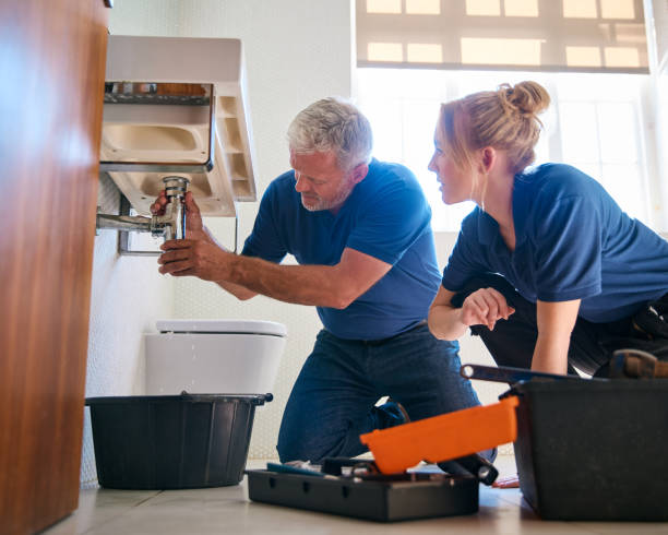 Best Commercial Plumbing Services  in Normal, IL